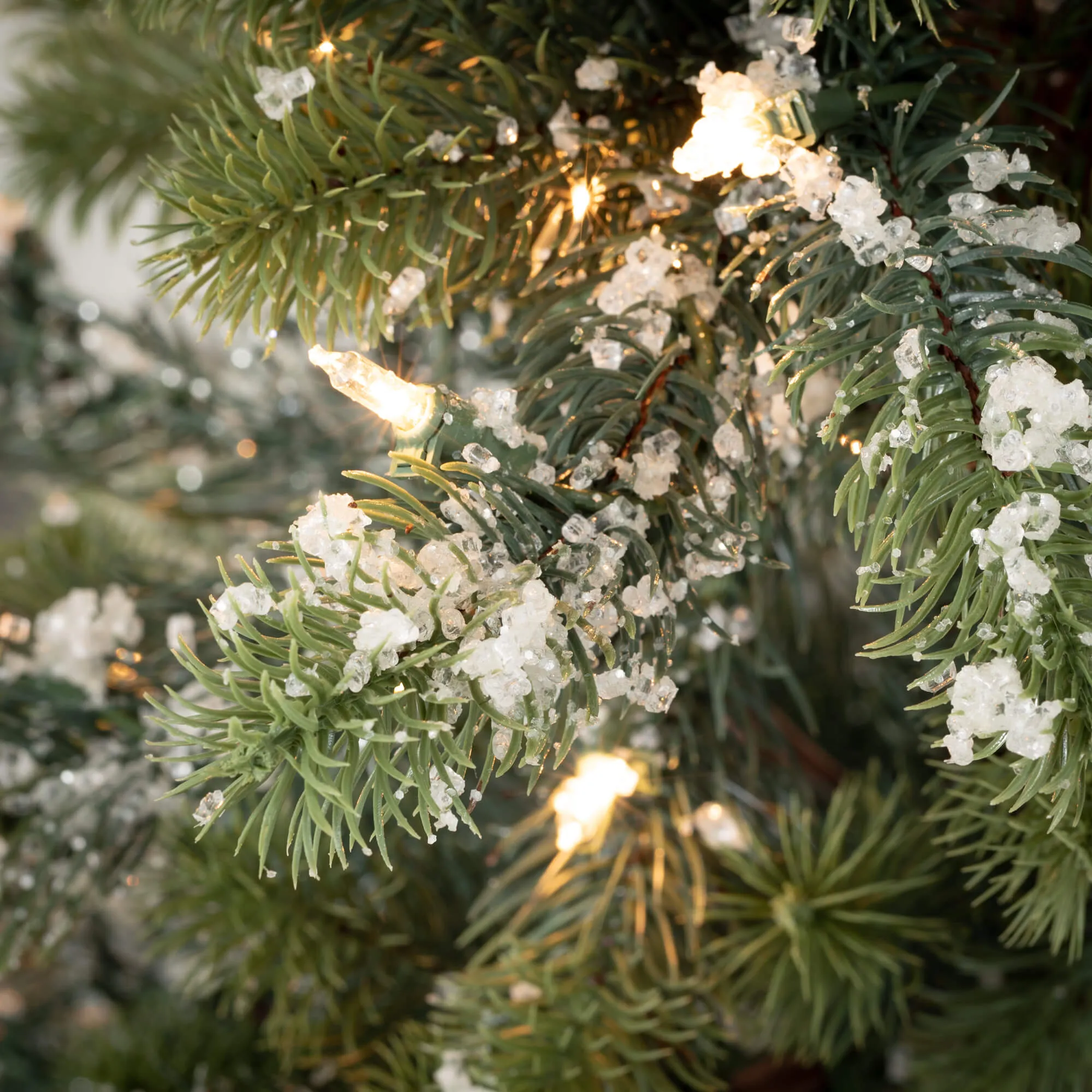 4' Potted Lit Iced Pine Tree