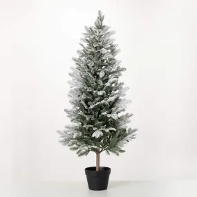 4' Potted Snowy Pine Tree