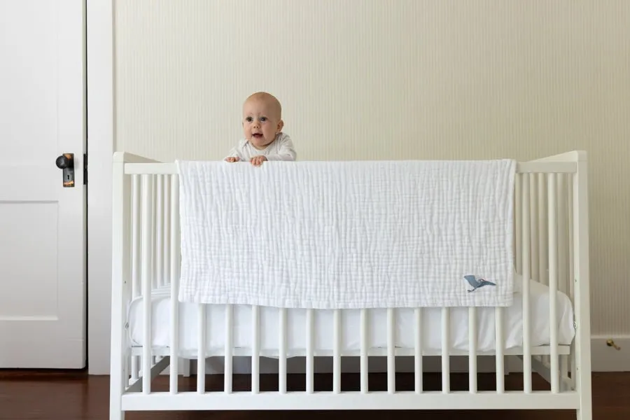 All-Season Organic Muslin Mini Blankets