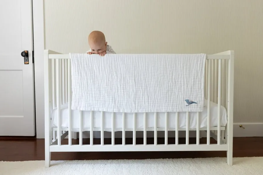 All-Season Organic Muslin Mini Blankets