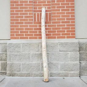 birch pole 2-5" diameter - 5ft tall