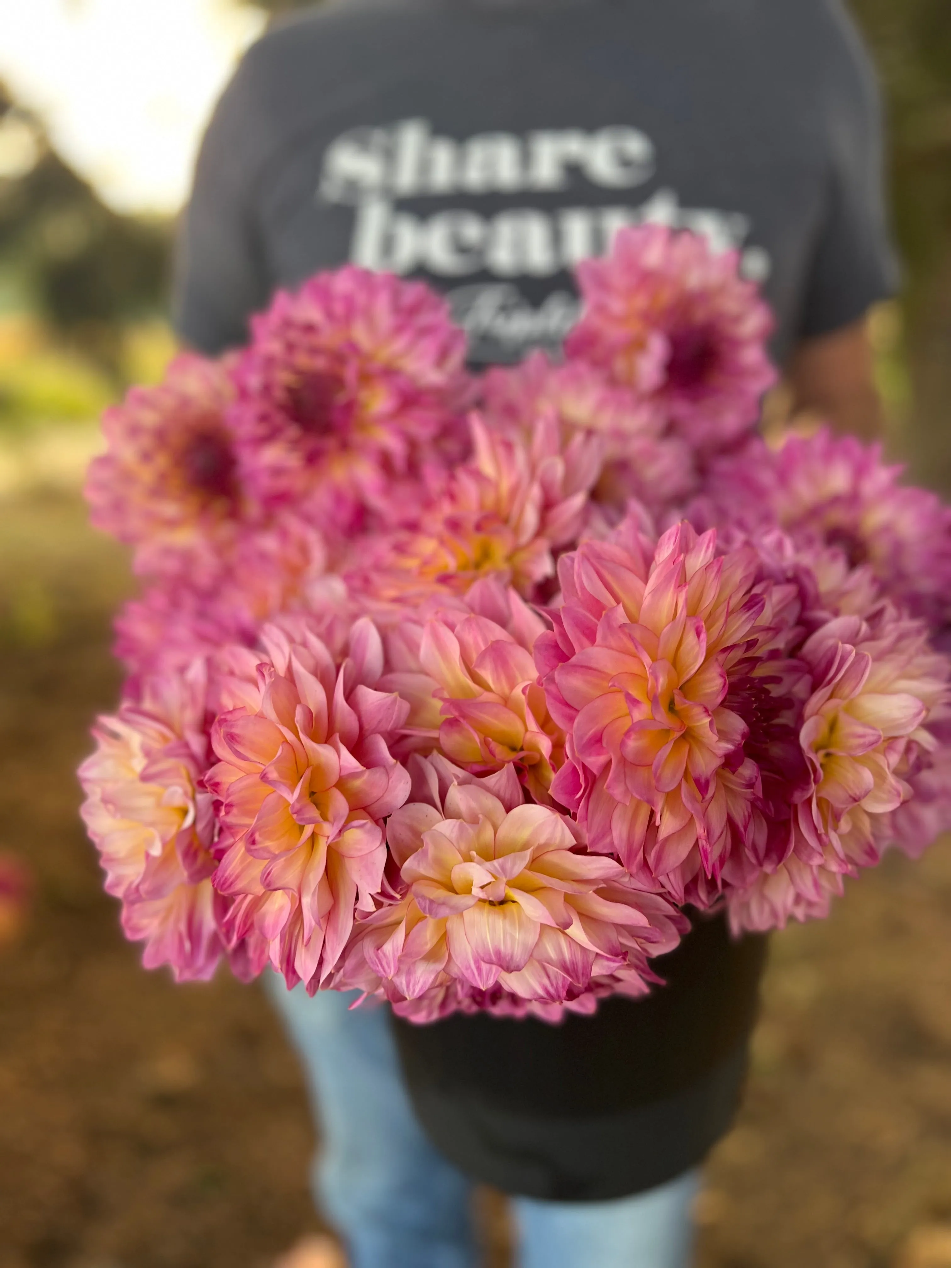 Bloomquist Cool Dahlia Tuber