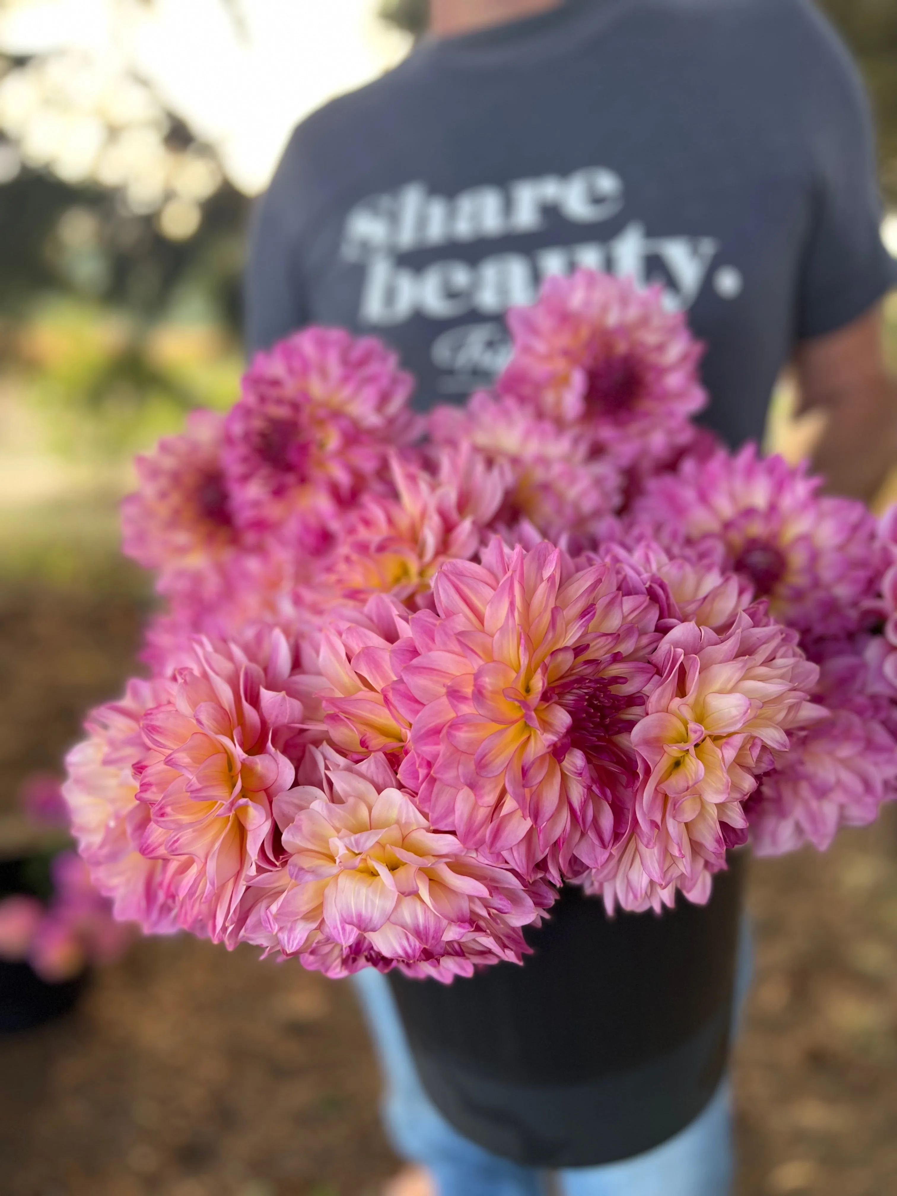 Bloomquist Cool Dahlia Tuber