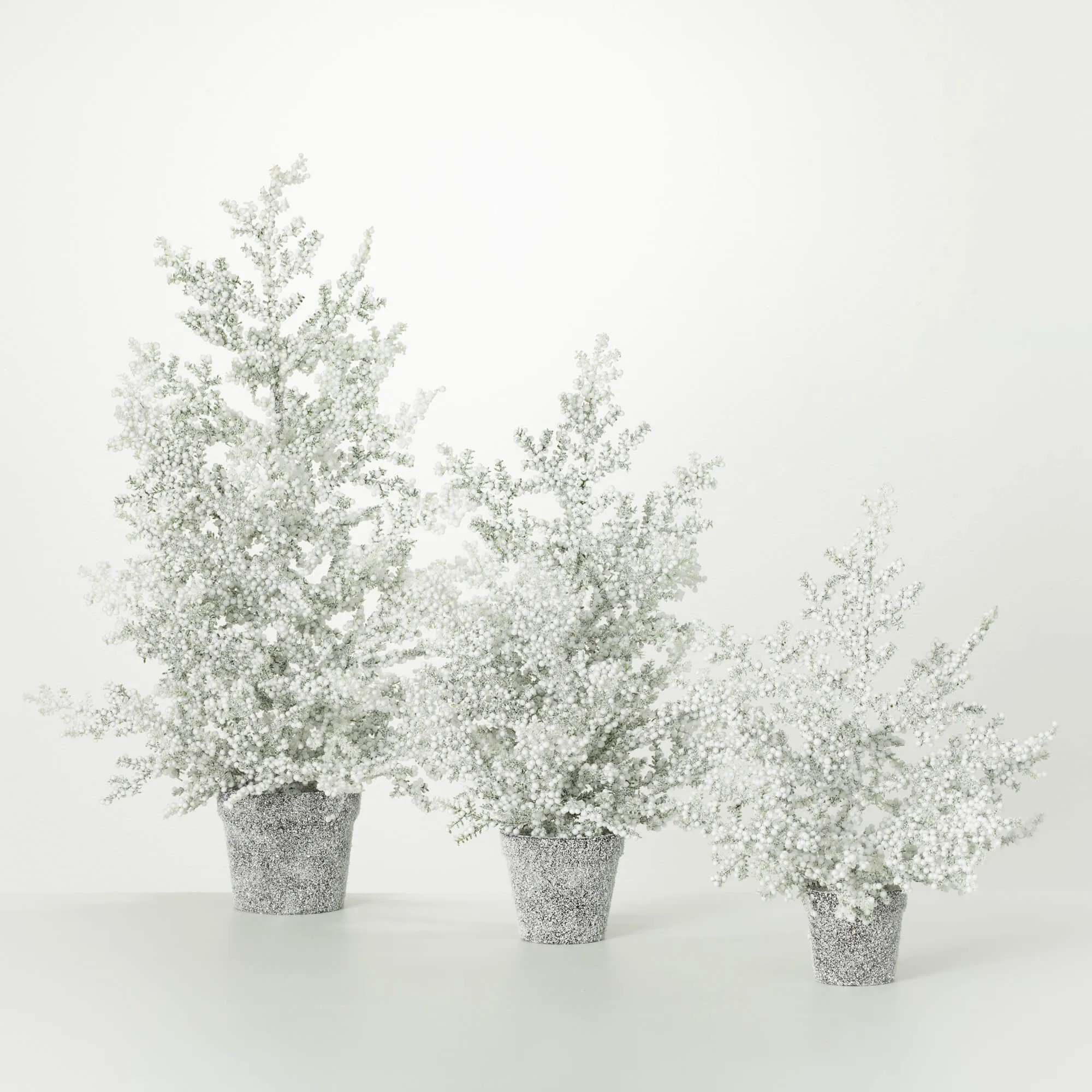 Frosted Juniper Tabletop Trees