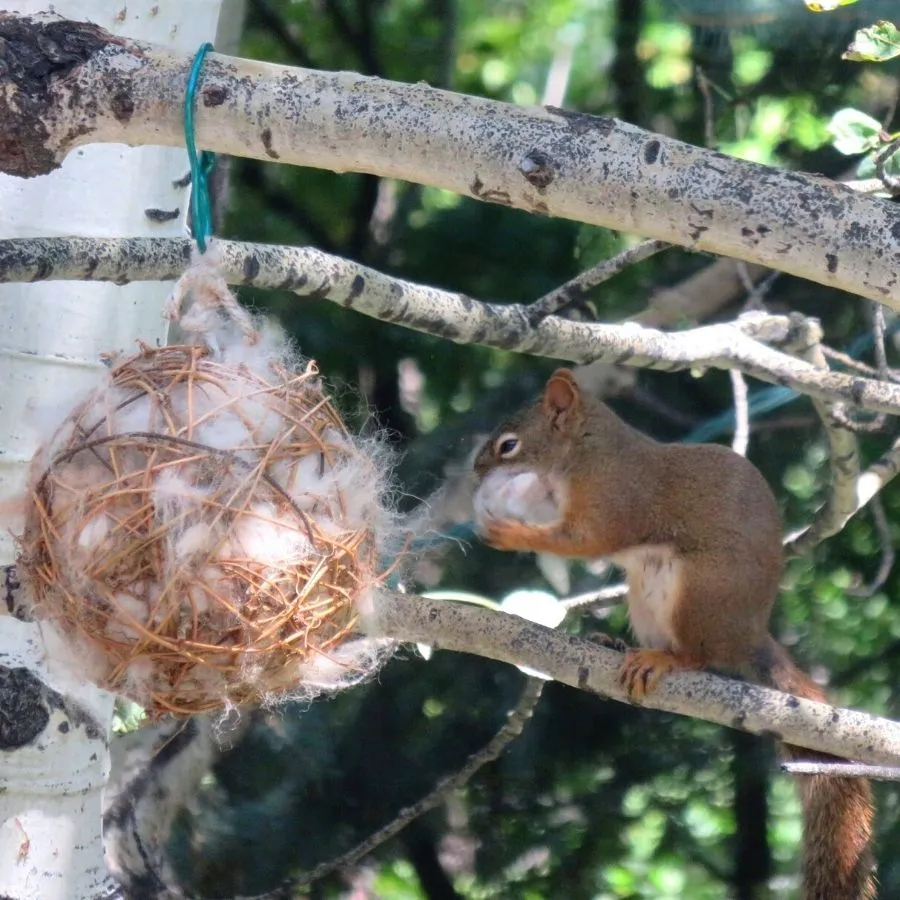 Hand Crafted Bird Nesting Cube