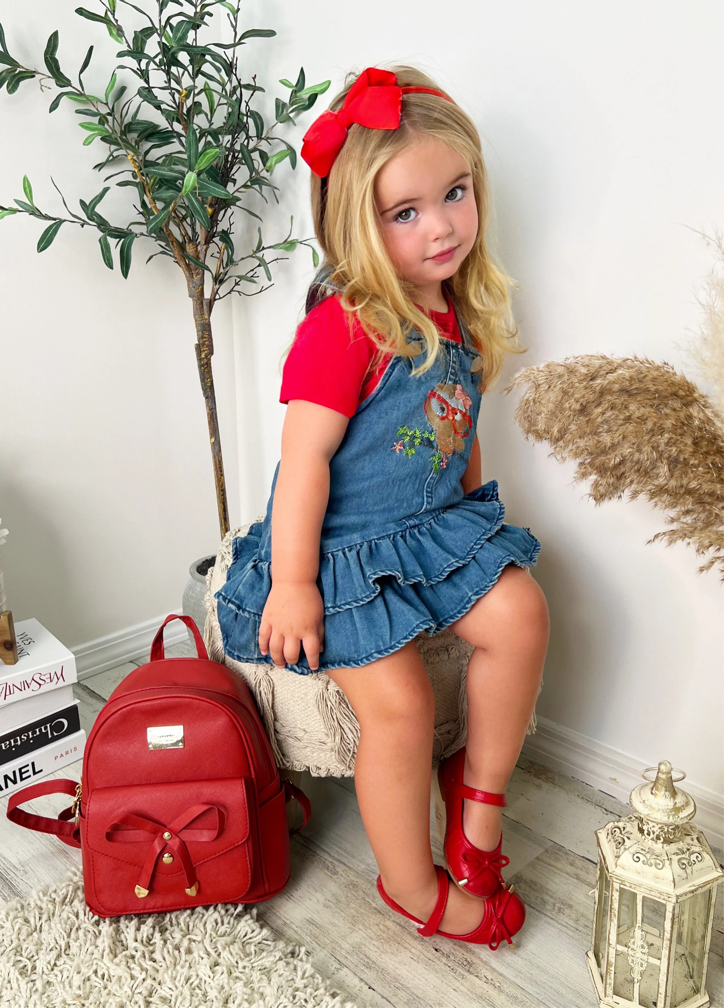 Owl Denim Overall Dress Set