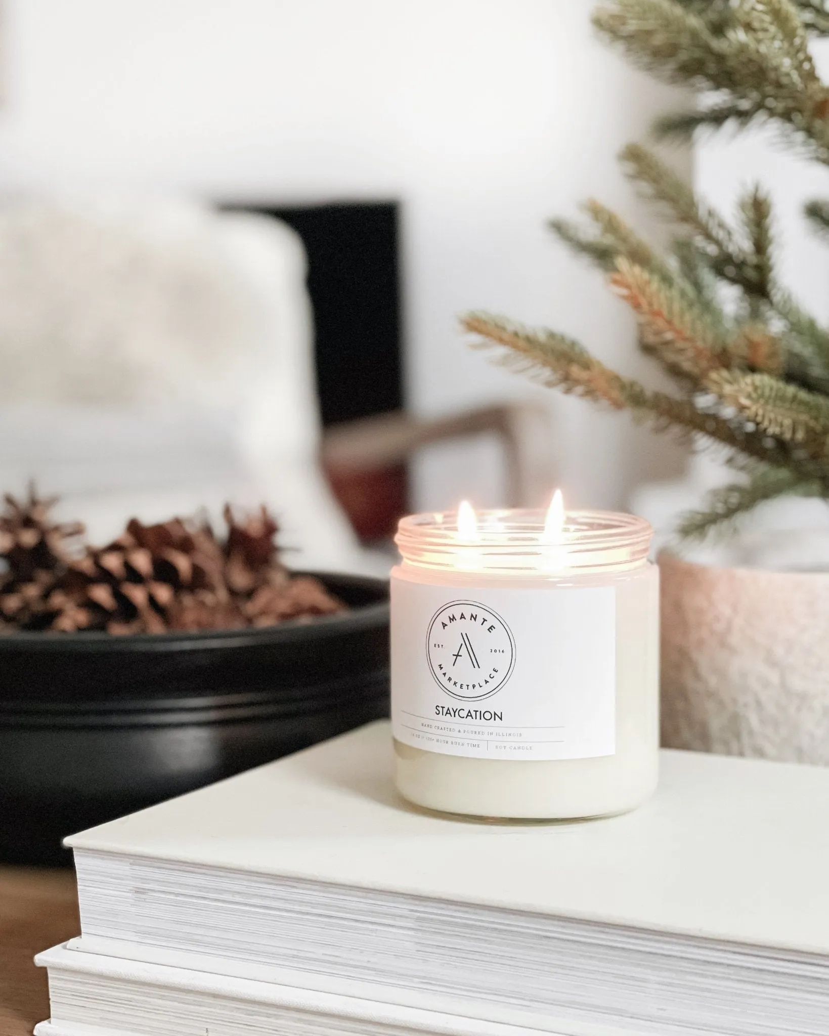 Seasonal Soy Candles- 9oz