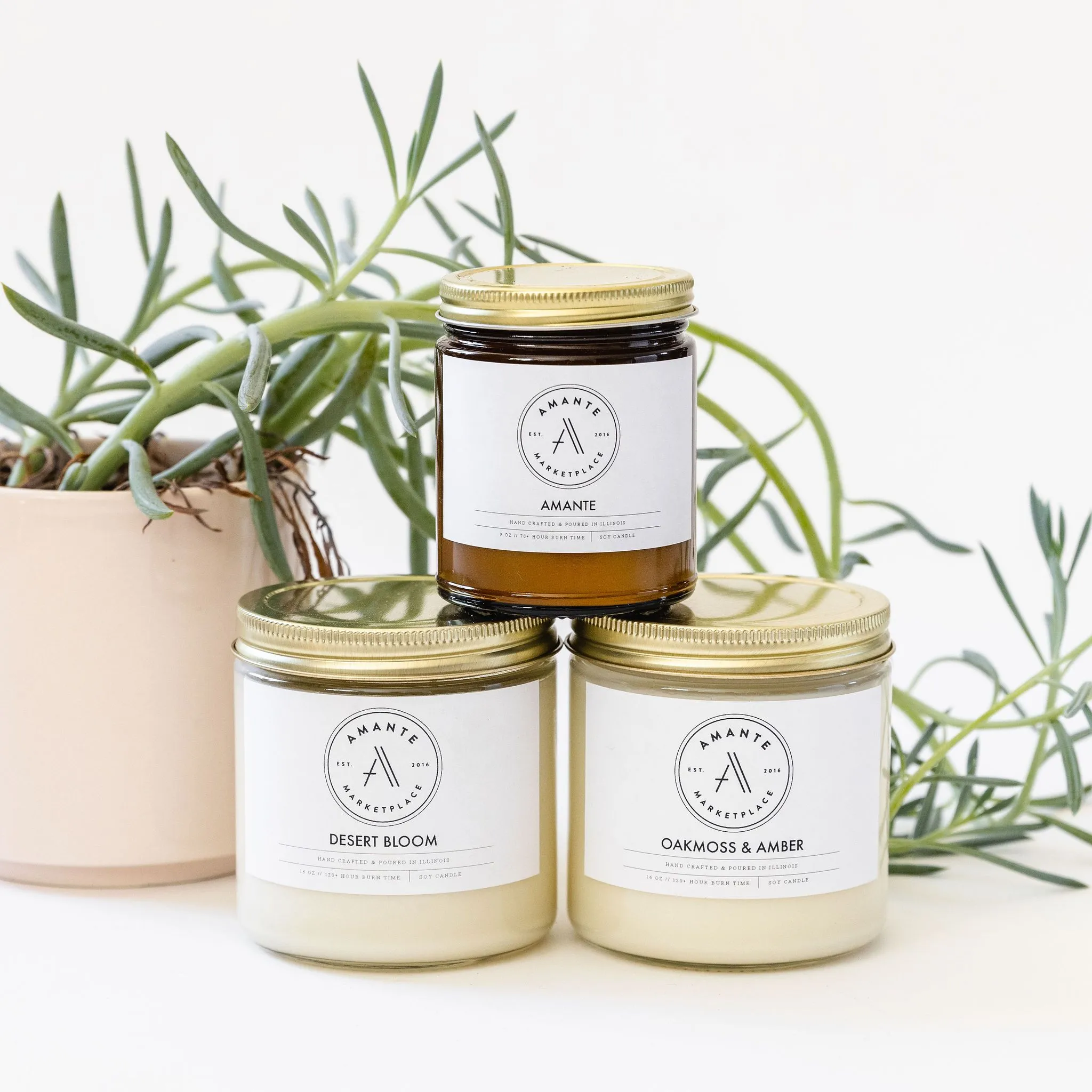 Seasonal Soy Candles- 9oz